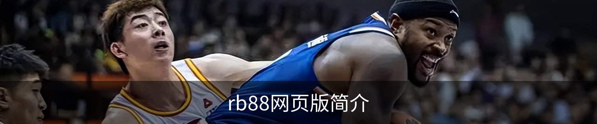 rb88网页版简介